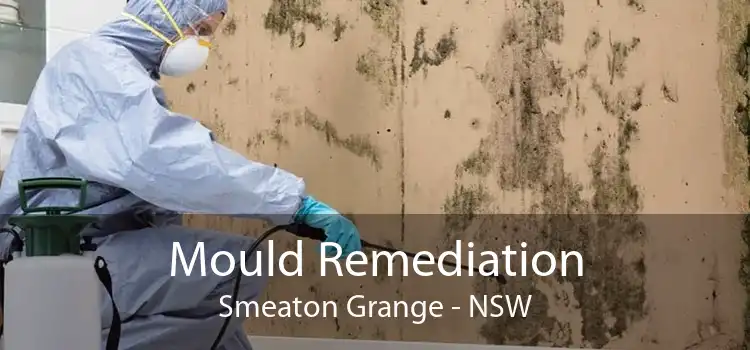 Mould Remediation Smeaton Grange - NSW