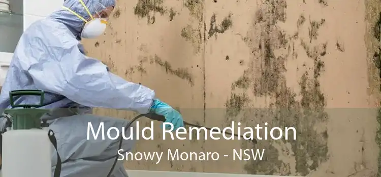 Mould Remediation Snowy Monaro - NSW