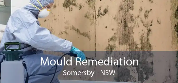 Mould Remediation Somersby - NSW