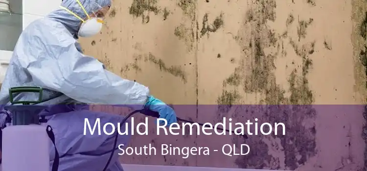 Mould Remediation South Bingera - QLD