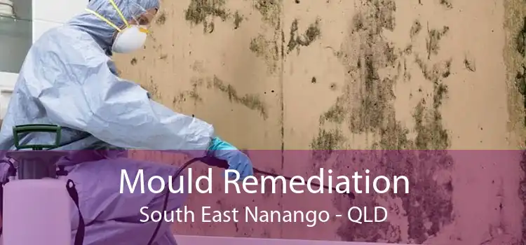 Mould Remediation South East Nanango - QLD