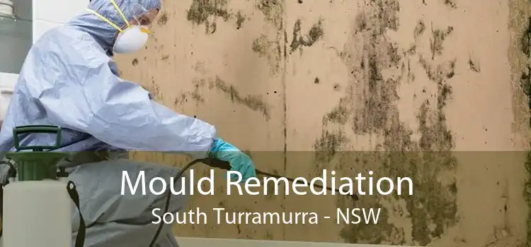 Mould Remediation South Turramurra - NSW