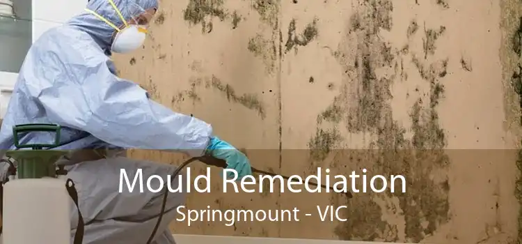 Mould Remediation Springmount - VIC