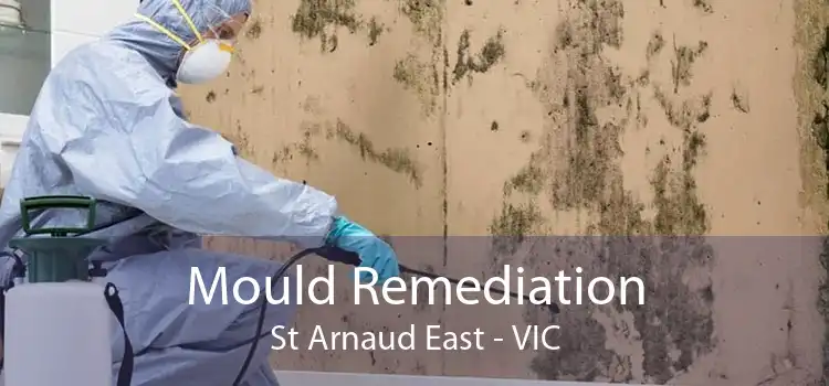 Mould Remediation St Arnaud East - VIC