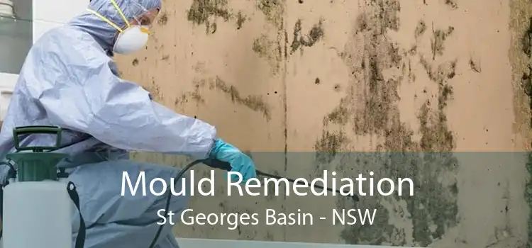 Mould Remediation St Georges Basin - NSW