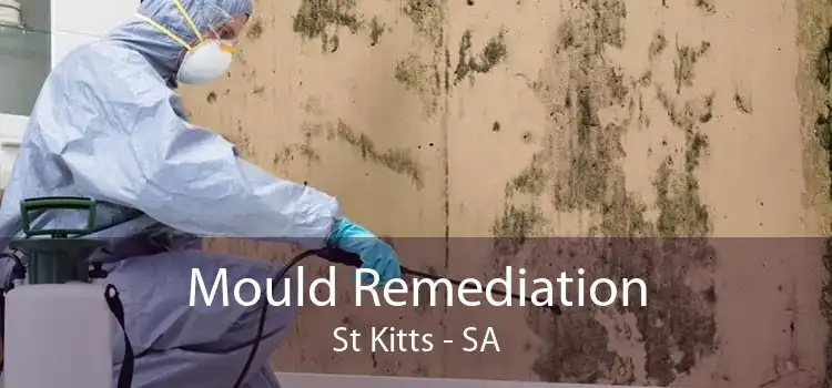 Mould Remediation St Kitts - SA