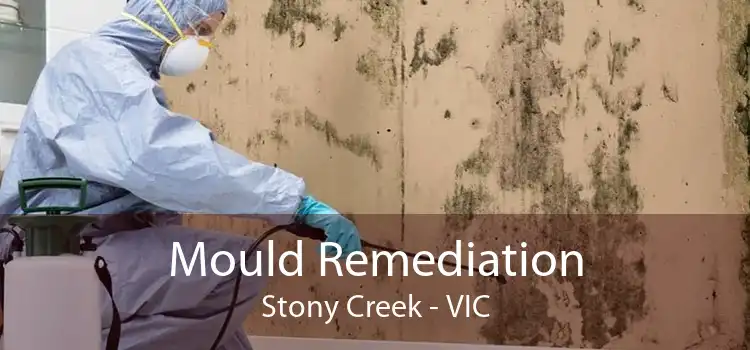 Mould Remediation Stony Creek - VIC