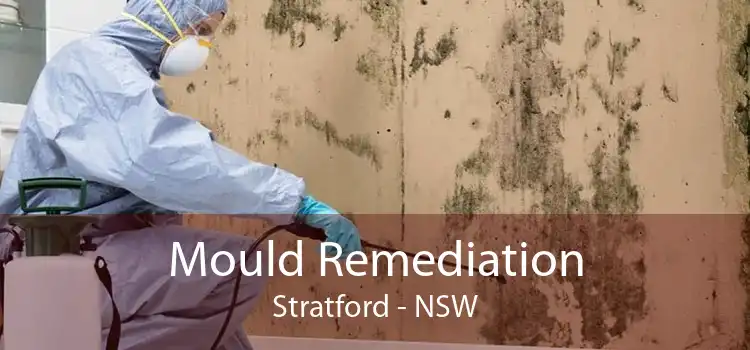 Mould Remediation Stratford - NSW