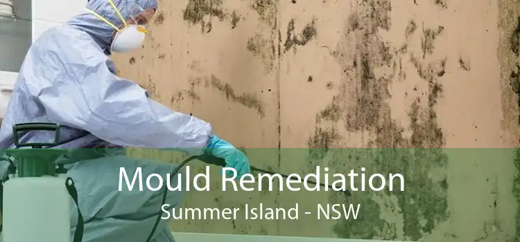 Mould Remediation Summer Island - NSW