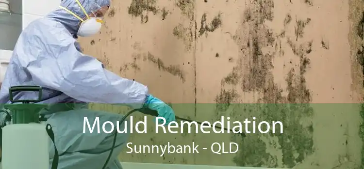 Mould Remediation Sunnybank - QLD