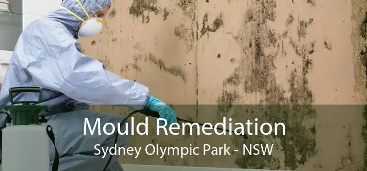 Mould Remediation Sydney Olympic Park - NSW