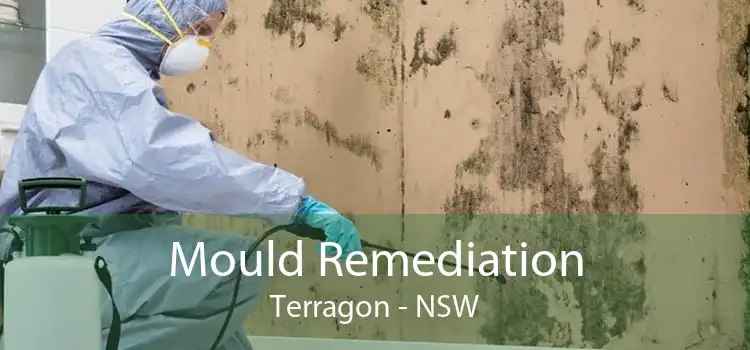 Mould Remediation Terragon - NSW