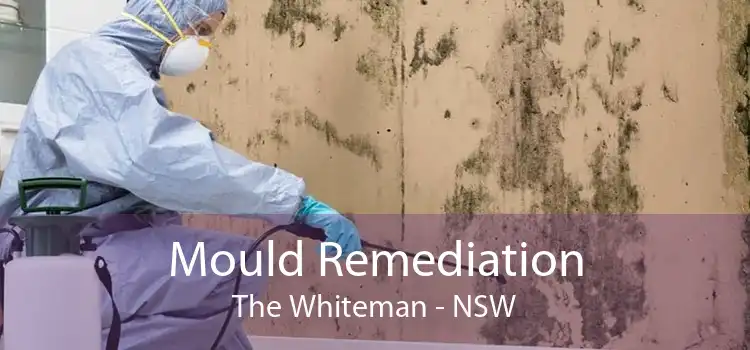 Mould Remediation The Whiteman - NSW