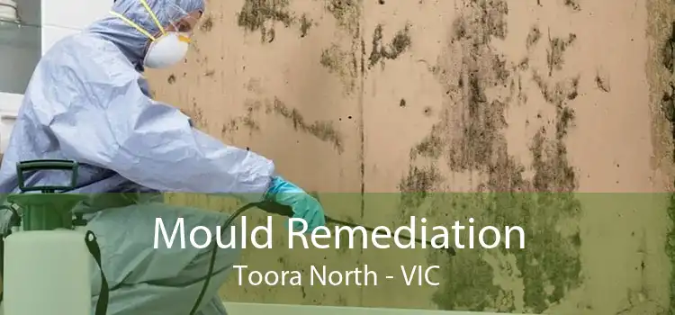 Mould Remediation Toora North - VIC