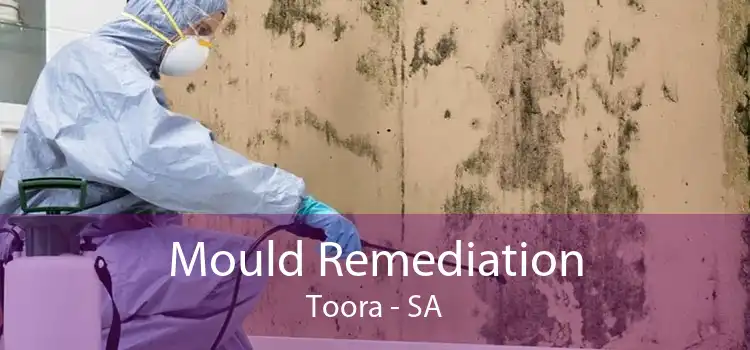 Mould Remediation Toora - SA