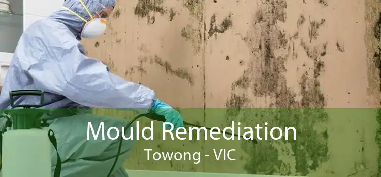 Mould Remediation Towong - VIC