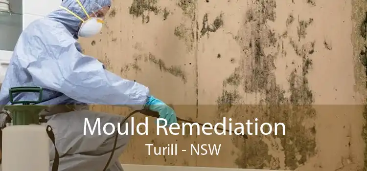 Mould Remediation Turill - NSW