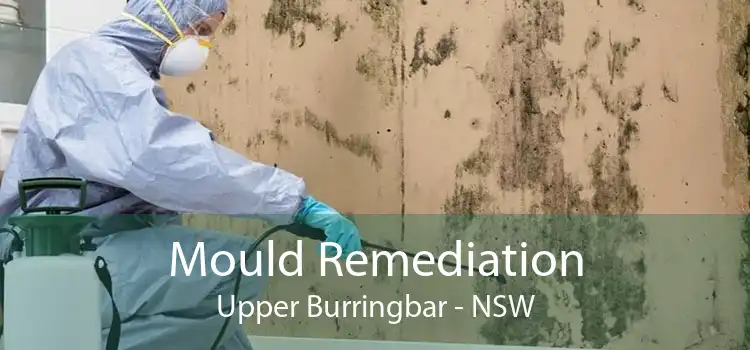 Mould Remediation Upper Burringbar - NSW