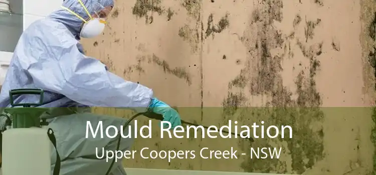 Mould Remediation Upper Coopers Creek - NSW