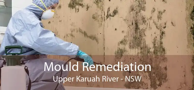 Mould Remediation Upper Karuah River - NSW