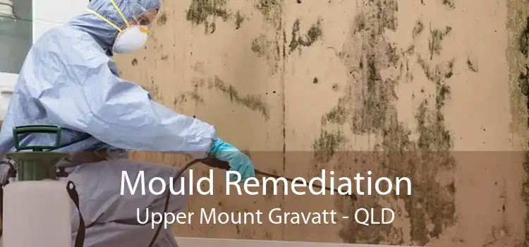 Mould Remediation Upper Mount Gravatt - QLD