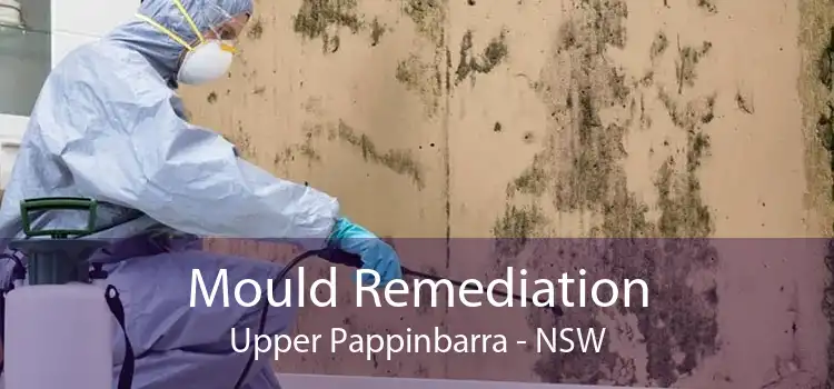 Mould Remediation Upper Pappinbarra - NSW