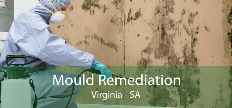Mould Remediation Virginia - SA