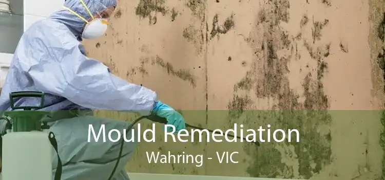 Mould Remediation Wahring - VIC