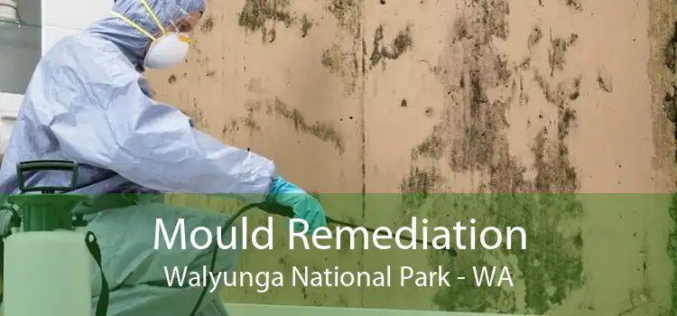 Mould Remediation Walyunga National Park - WA