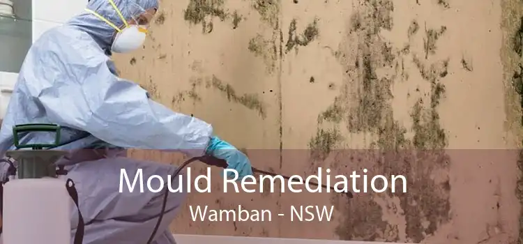 Mould Remediation Wamban - NSW