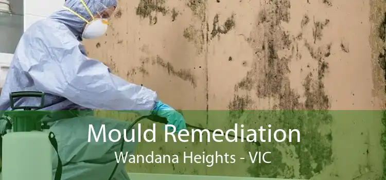 Mould Remediation Wandana Heights - VIC