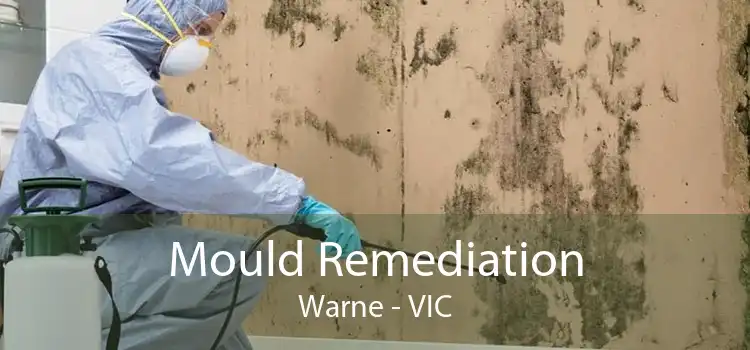 Mould Remediation Warne - VIC