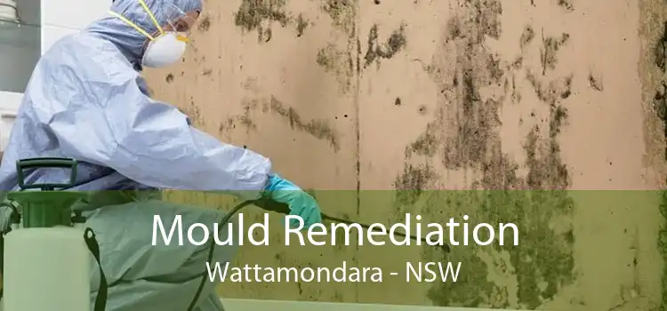 Mould Remediation Wattamondara - NSW