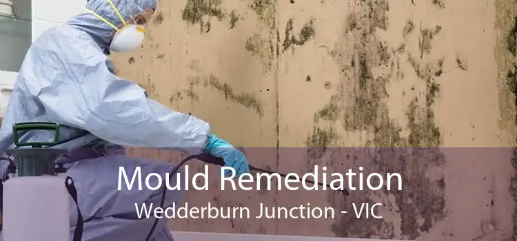 Mould Remediation Wedderburn Junction - VIC
