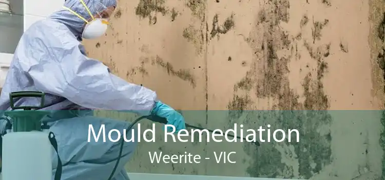 Mould Remediation Weerite - VIC