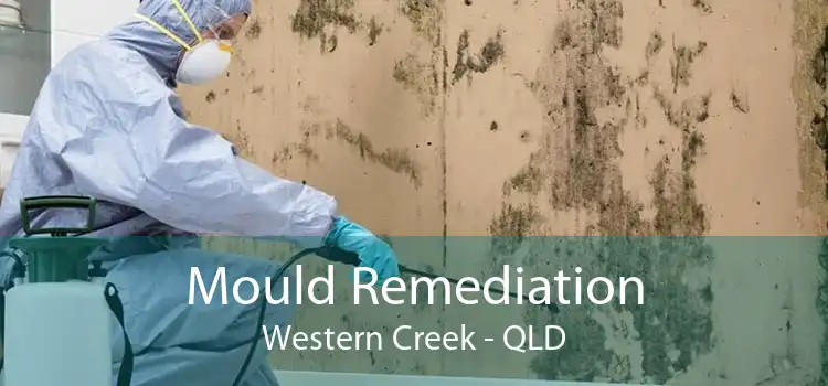 Mould Remediation Western Creek - QLD