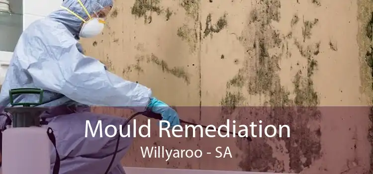 Mould Remediation Willyaroo - SA