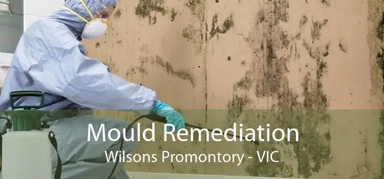 Mould Remediation Wilsons Promontory - VIC