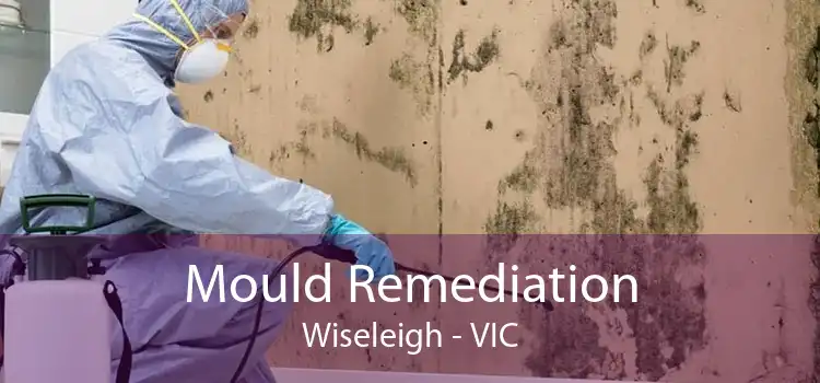 Mould Remediation Wiseleigh - VIC