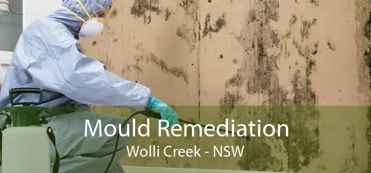 Mould Remediation Wolli Creek - NSW