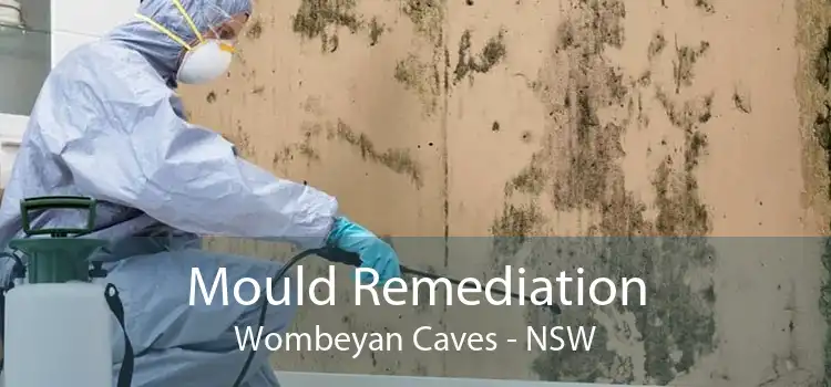 Mould Remediation Wombeyan Caves - NSW