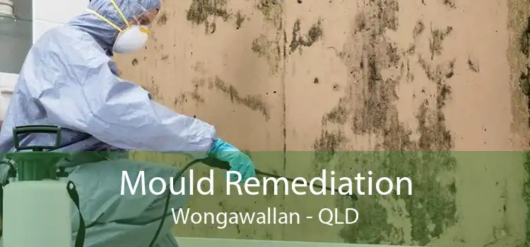 Mould Remediation Wongawallan - QLD