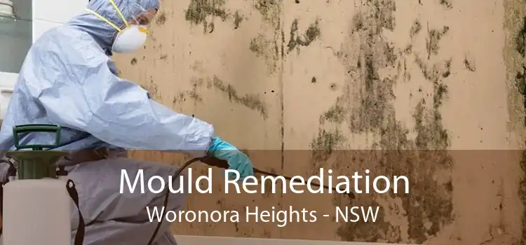 Mould Remediation Woronora Heights - NSW