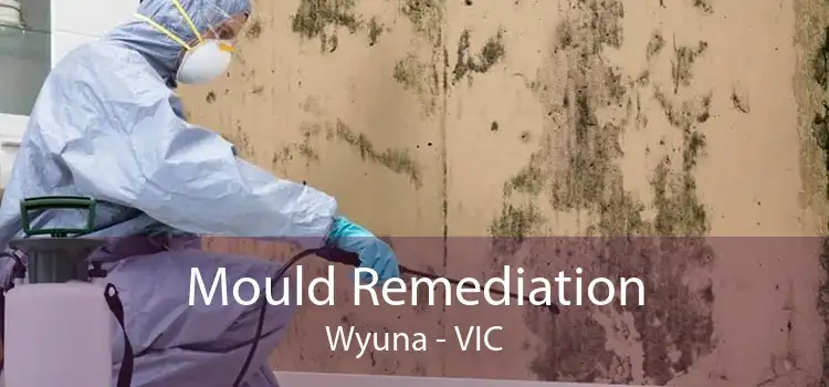 Mould Remediation Wyuna - VIC