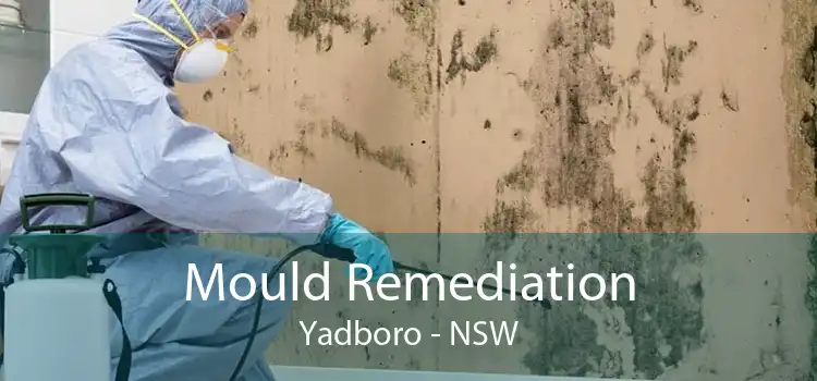 Mould Remediation Yadboro - NSW