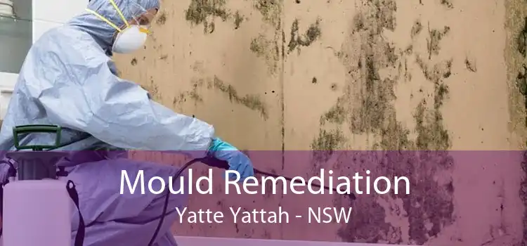Mould Remediation Yatte Yattah - NSW