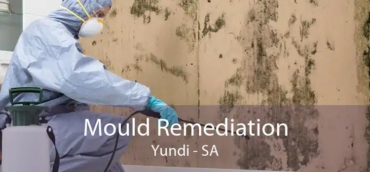 Mould Remediation Yundi - SA