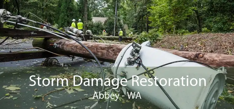 Storm Damage Restoration Abbey - WA