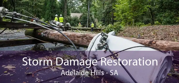 Storm Damage Restoration Adelaide Hills - SA