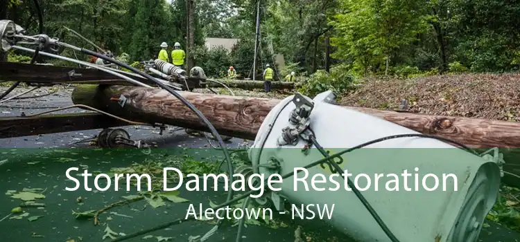 Storm Damage Restoration Alectown - NSW